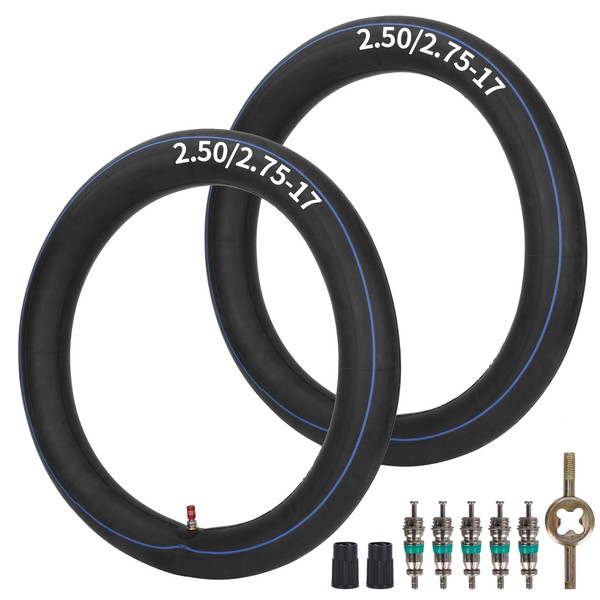 JIAYAN 2.50/2.75-17 Inner Tube with TR4 Noise Valve Stem for