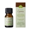 aromabera Essential Oil Cypress 10ml