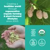 Navitas Organics Mulberries, 8 oz. Bag, 8 Servings — Organic,