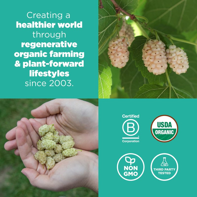 Navitas Organics Mulberries, 8 oz. Bag, 8 Servings — Organic,