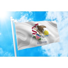 DMSE Illinois State Flag 2X3 Ft Foot 100% Polyester 100D Flag UV Resistant (2' X 3' Ft Foot)