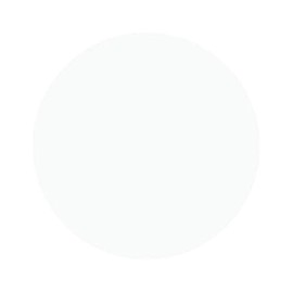 Noiro Nail Color Professional Line P005 0.4 fl oz (11 ml)