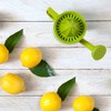 Peleg Design Lemoniere Original Watering Can-Shaped Manual Hand Juicer, Green