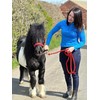 POLKA DOT HEADCOLLAR WITH LEAD ROPE FULL-MINI SHETLAND (Red, Cob)
