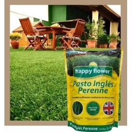 HAPPY FLOWER 3 Bolsas Semilla Pasto Ingles Para Sol Y Clima Extremo 500g