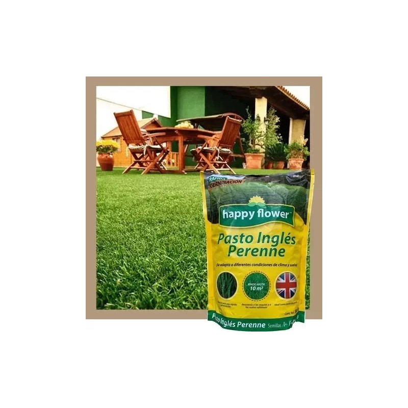 HAPPY FLOWER 3 Bolsas Semilla Pasto Ingles Para Sol Y