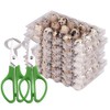 Custom Quail Egg Cartons - Small Egg Holders for Countertop,
