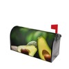 Avocado Fruit Print Magnetic Mailbox Cover,Christmas Winter Decorations,Standard and Large