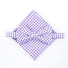 Scott Allan Collection Pre-Tied Bowtie for Boy's/Men - Purple &