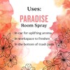 Aura Cacia Paradise Room Spray 8 Fl. oz. - Light