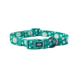 Ovale Dog Collar Leash Combo Set, Adjustable Collar and 5 ft Matching Leash, for Small Dogs.(S, Green Daisy)