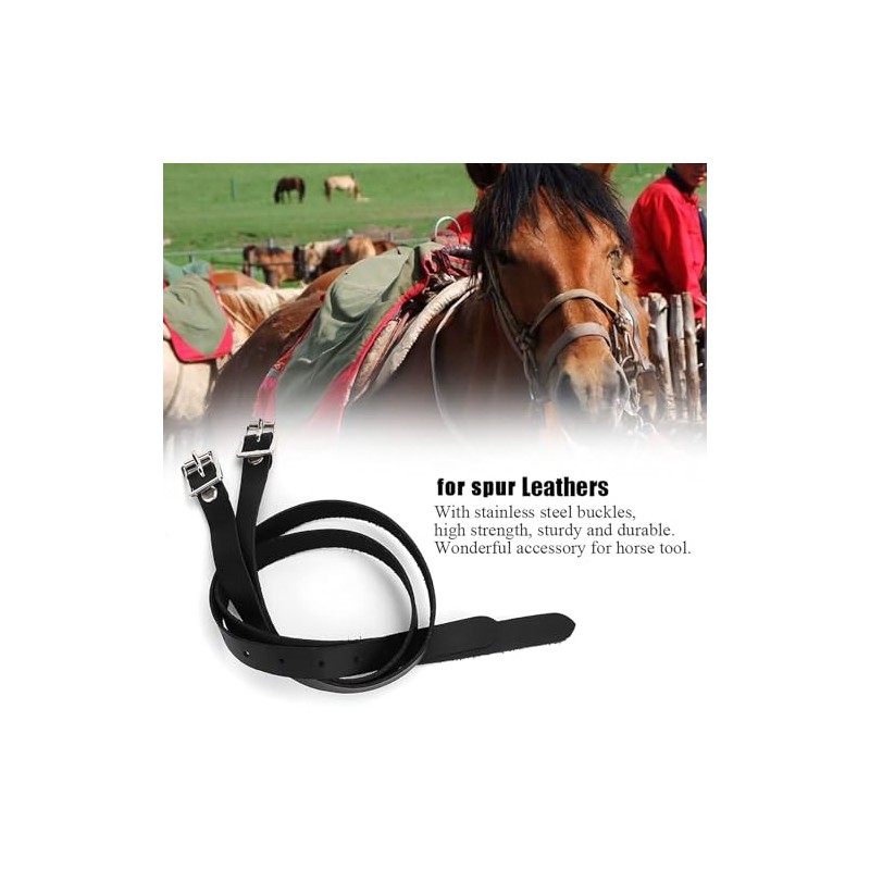Herramienta para Caballos con Hebilla de Acero Inoxidable, para Correas