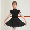 Dmwhsy 2 Pack Ballet Dress for Girls, Short Sleeve Gymnastics