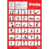 The Stretching Poster