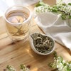 Teapro Supreme Silver Needle White Tea | Bai Hao Yin