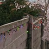 Festive Lights - 10m Solar Power Multi Function Fairy String
