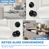 BESTTEN 3 Pack Keyed Alike Exterior Door Knobs and Single