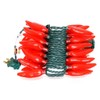Sival - 35 Light 13.5' Green Wire Red Chili Pepper