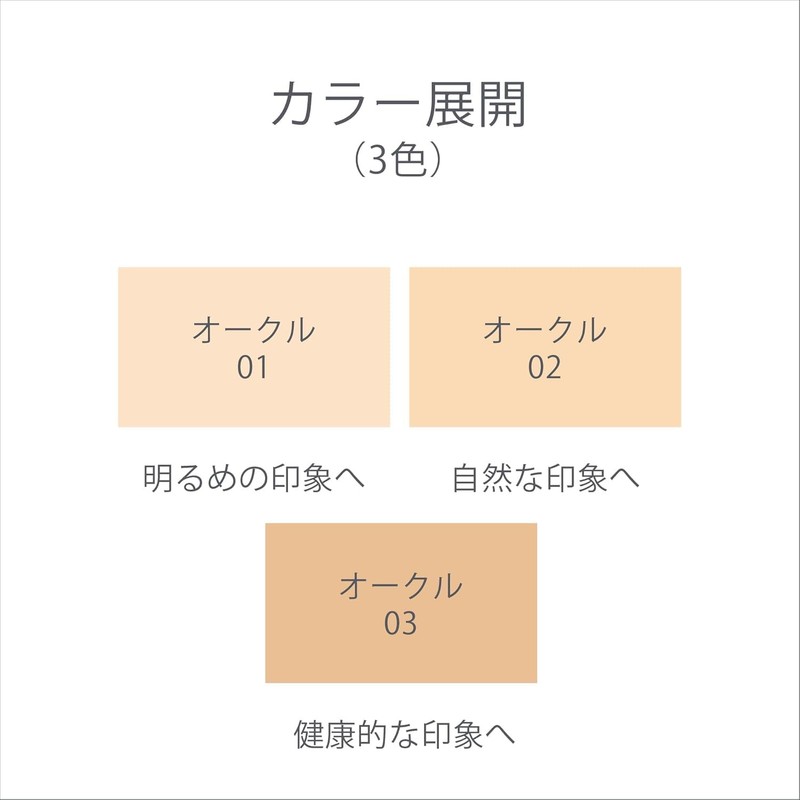 EX:BEAUTE EX:BEAUTE Premium Vision Foundation N (Ochre 02)