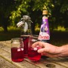 Ribena Blackcurrant Juice 28.74 Ounce