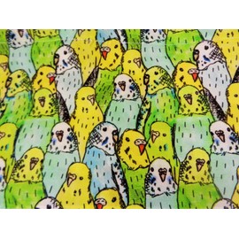 fortheBIRDS! LARGE Bird CAGE  "Assorted Budgies"  Skirt ONLY