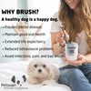 Petosan Poultry Flavour Toothpaste for Dogs - Anti-Tartar, Plaque Control,