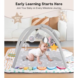 Baby Play Mat Activity Gym with Tummy Time Pillow, 6 Developmental Zones Tummy Time Mat, 6 Detachable Sensory Toys and Educational Cards, Essential Baby Shower Set, Grey Elephant