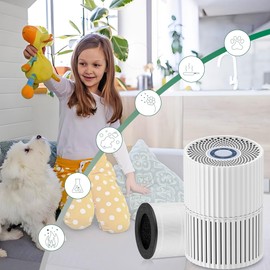 CHNPOFNT Replacement True HEPA Filters Compatible with Ganiza Air Purifier A10,H13 3-IN-1 4-Stage Filtration High-efficiency Activated carbon,2-Pack H13 4-Stage Filtration Activated Carbon 3-in-1