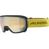 ALPINA Scarabeo Q-Lite Mirrored, Contrast-Enhancing OTG Ski Goggles with 100%