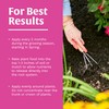 Scotts Rose & Bloom Continuous Release Plant Food, 3 lb