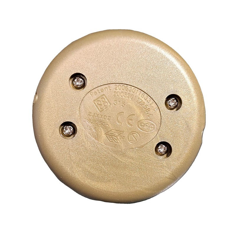 1 Pin 2A 250V Gold Foot Switch with Screw Contacts