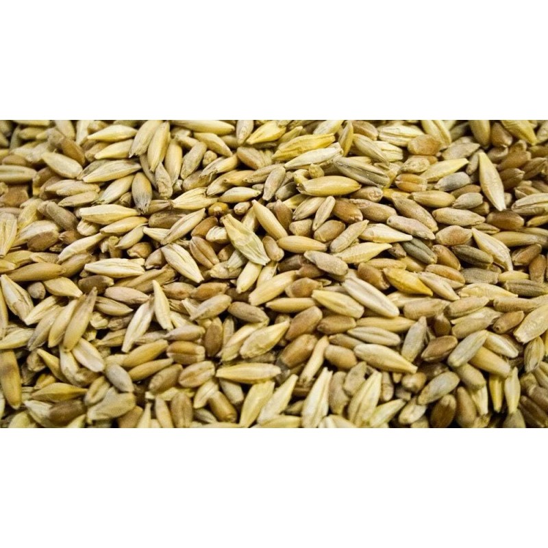 Thunder Acres Certified Organic Lawn And Patio Seed 1 Pound