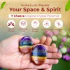 2pcs Set 7 Chakra Worry Stone Thumb Crystals - Palm