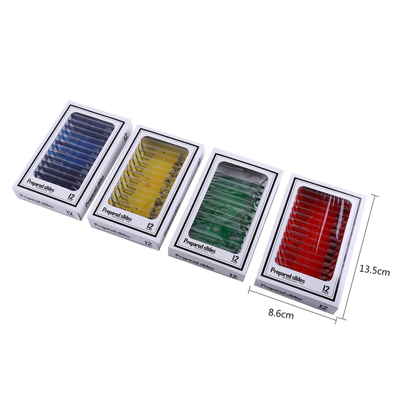 A Set Plastic Prepared Microscope Slides Animals Insects Plants Flowers