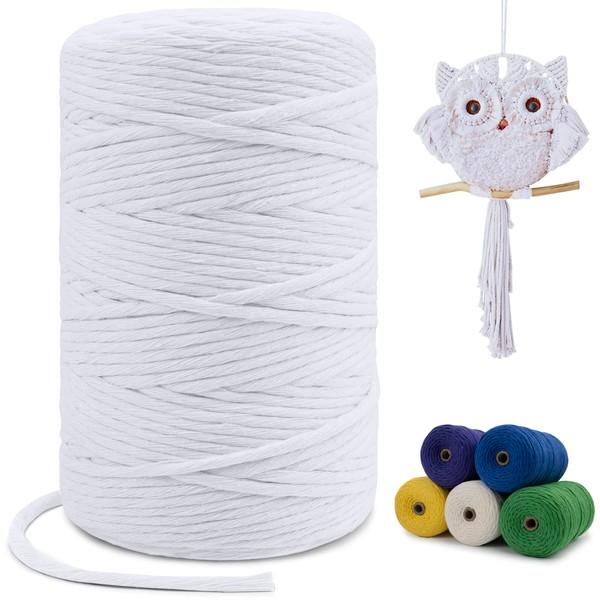 LEREATI Macrame Cord 3mm x 200m, Single Strand Thick Macrame Rope Yarn Natural Cotton Cord, Craft Macrame String for Plant Hanger, Wall Hanging, Knitting, DIY, Home Decorations (White)