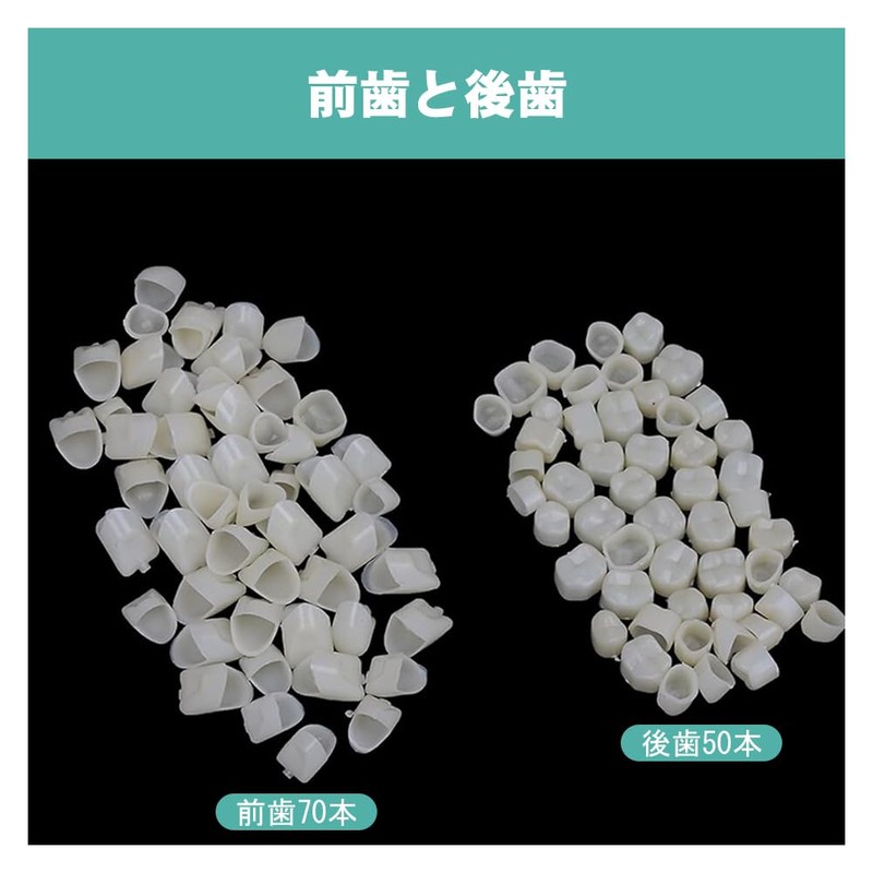 Temporary Crown for Front and Rear Teeth Resin Temporary Crown