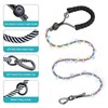 PetBonus 5 FT LED Dog Leash, Rechargeable Light Up Rope