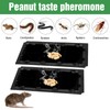 20 Pack Sticky Mouse Trap Rat Traps Indoor, Peanut Taste