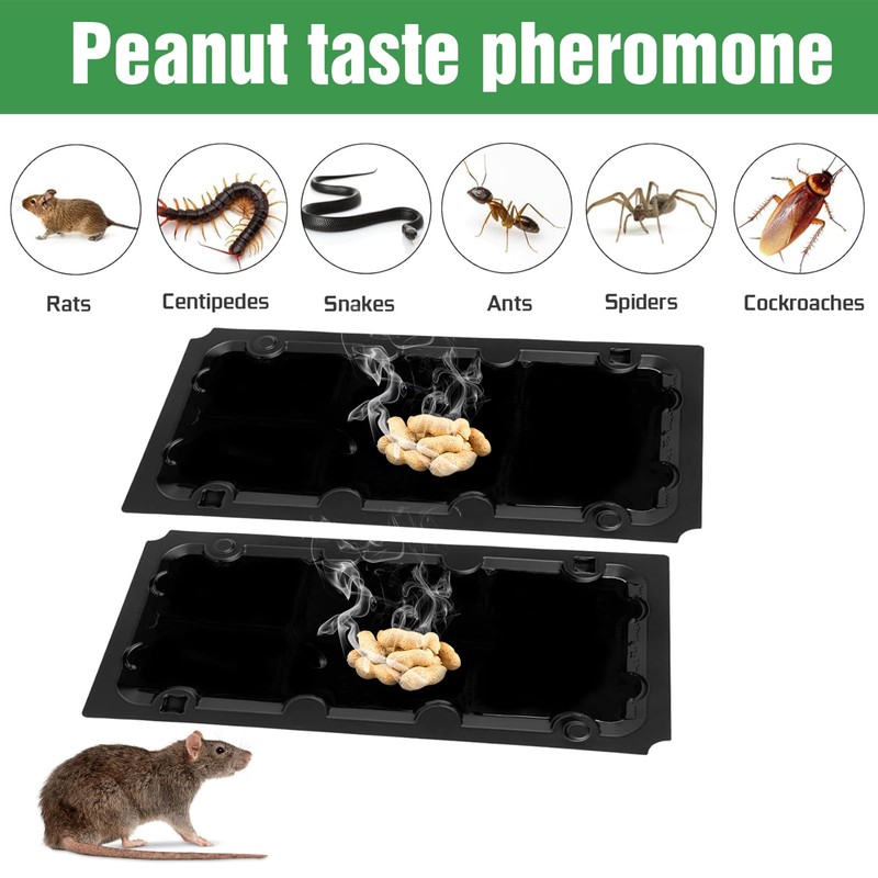 20 Pack Sticky Mouse Trap Rat Traps Indoor, Peanut Taste