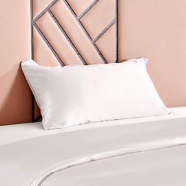 THXSILK 100% 19 Momme Silk Pillowcase Cushion Cover with Zip - Silk Pillow Cover - Super Soft and Smooth Silk Pillow Cover