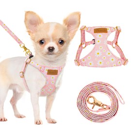 Eyein Small Dog Harness & Lead Sets, Lightweight Adjustable Soft Daisy Pattern for Extra Small Dog Harness, No Pull Escape Proof Breathable Easy Fit Puppy Vest for Small Medium Dogs Cats(M)