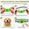 Collare Antiparassitario Cani Naturale - Ciondolo Repellente Pulci