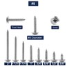 #8 x 5/8" Wood Screw 100Pcs Truss Head Phillips 18-8