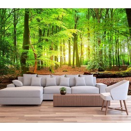 FENDROM Green Misty Forest Tapestry Wall Hanging Nature Landscape Tapestry Sunshine Through Tree Tapestries for Bedroom Living Room Dorm Decor