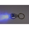 Nichia Ultraviolet LED Black Light Southwalker UV Light