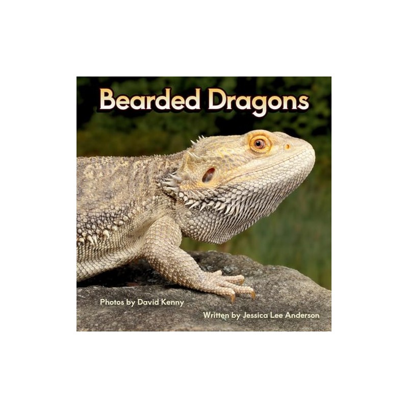 Bearded Dragons
