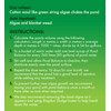 Blagdon Pond Balance, Clears Blanketweed & Algae, Encourages Plant Growth,