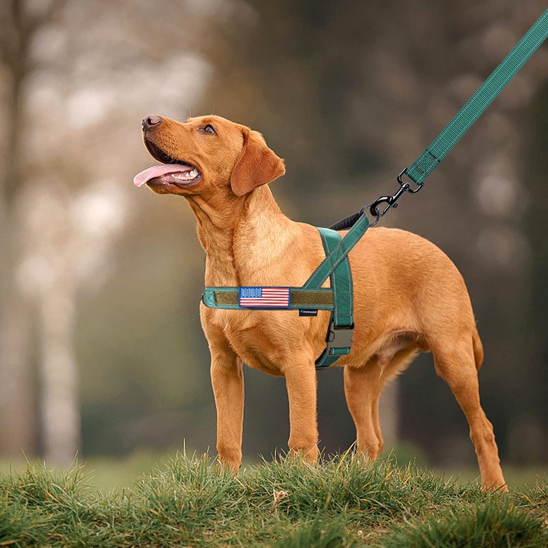 Annchwool No Pull Dog Harness with Padded Handle+5 Ft Leash,Reflective