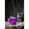 Wild Hibiscus Flower Extract Trio | 3 x 3.4 fl