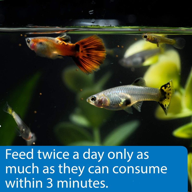 API TROPICAL MINI PELLETS Mini Sinking Pellets Fish Food 1.7-Ounce